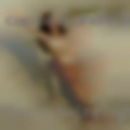 Irwin swinging
