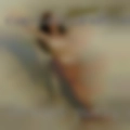 Vermont pussy swinger